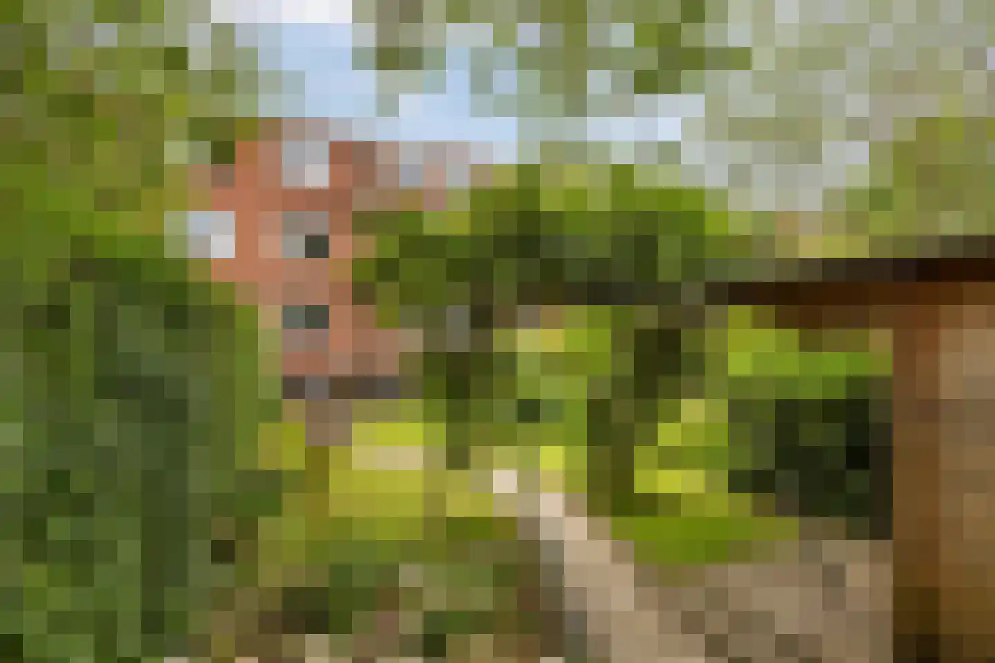 IJsselstraat 23 Groningen thumbnail 33