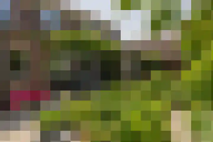 IJsselstraat 23 Krimpen aan den IJssel thumbnail 4