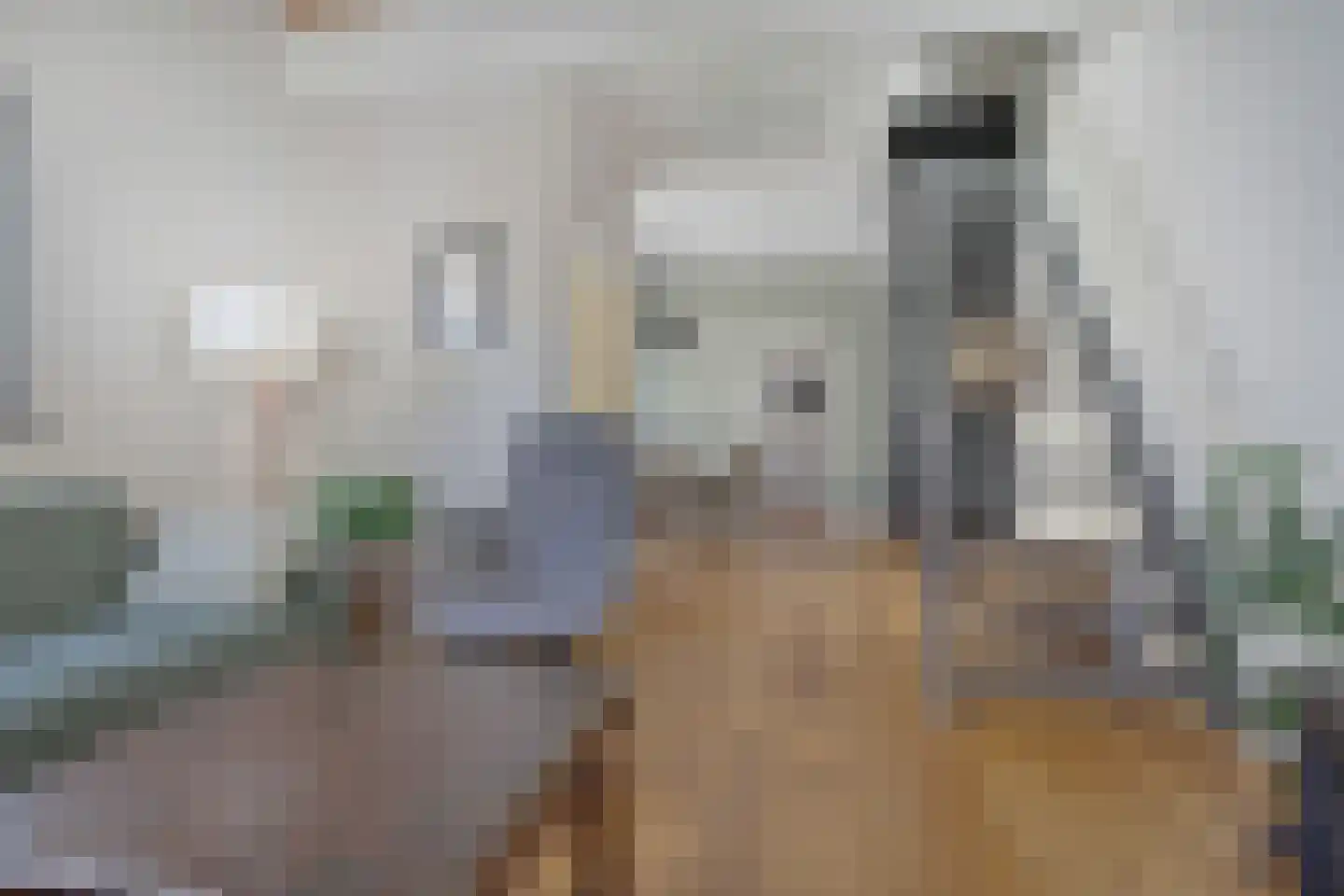 IJsselstraat 23 Velp thumbnail 10