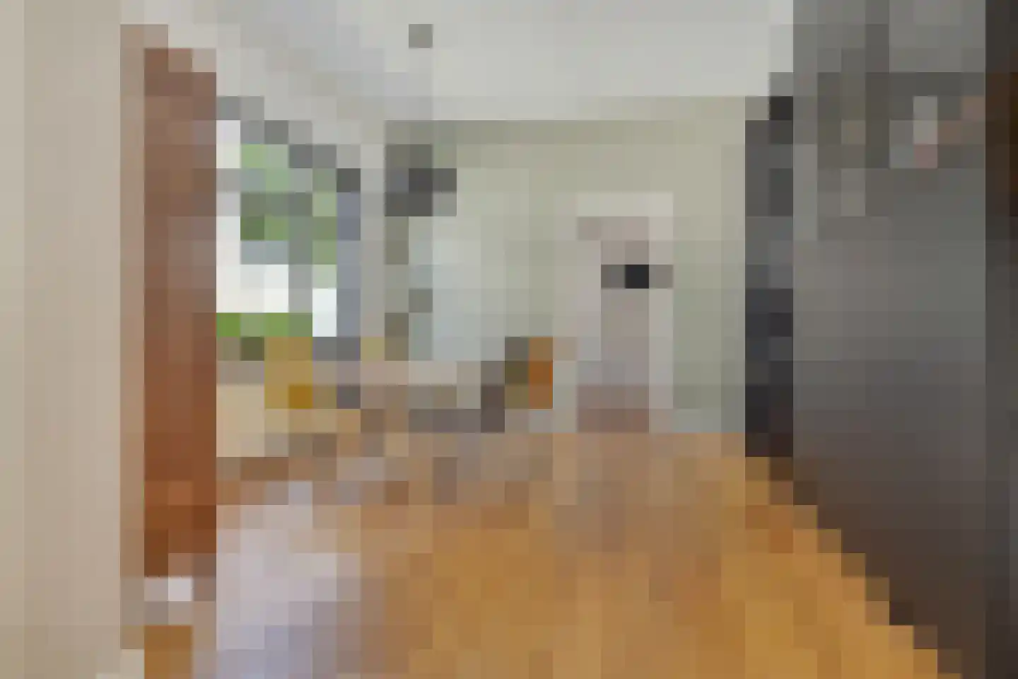 IJsselstraat 23 Velp thumbnail 11