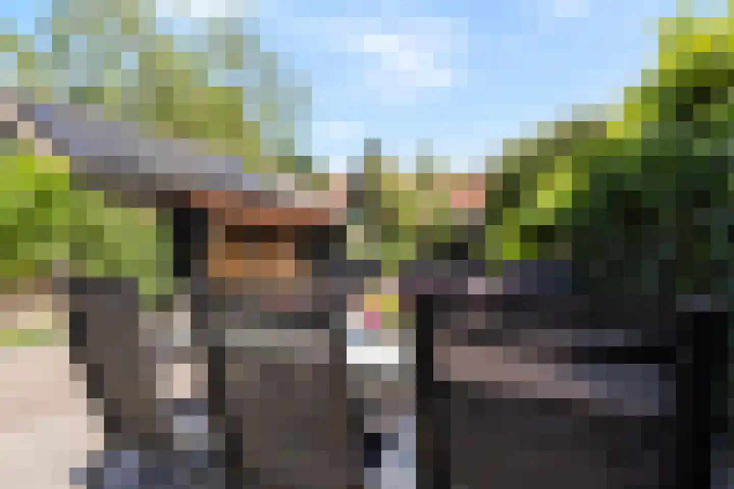 IJsselstraat 23 Velp thumbnail 25