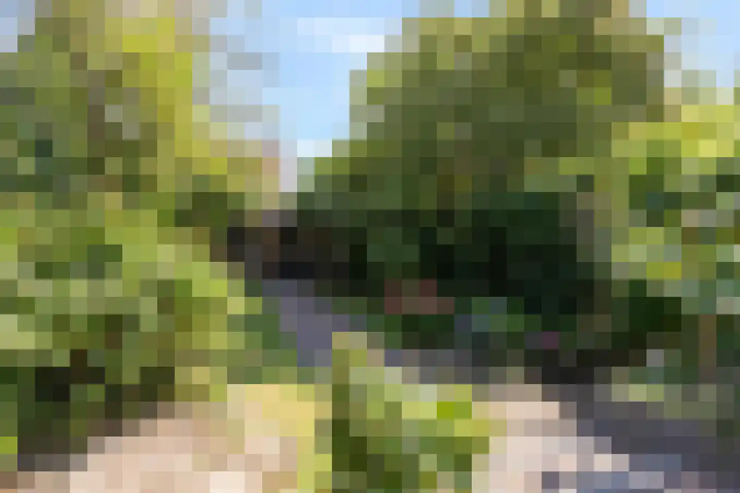 IJsselstraat 23 Velp thumbnail 28