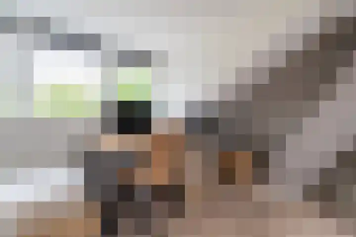 IJsselstraat 24 Hengelo thumbnail 39