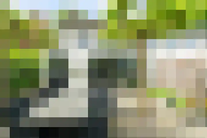IJsselstraat 24 Hengelo thumbnail 44