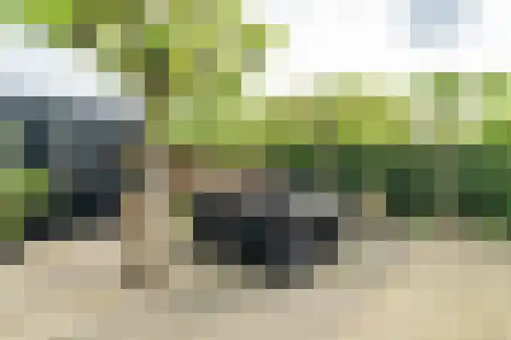 IJsselstraat 24 Hengelo thumbnail 46