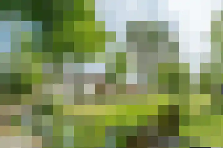 IJsselstraat 24 Hengelo thumbnail 48