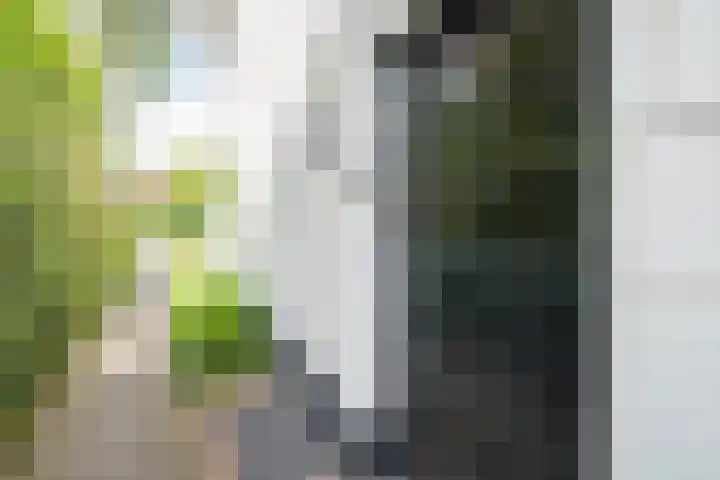 IJsselstraat 24 Hengelo thumbnail 52