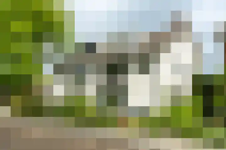IJsselstraat 24 Hengelo thumbnail 65