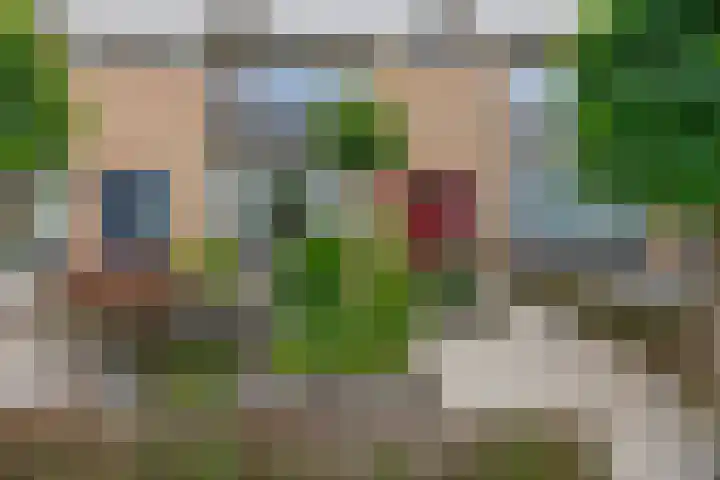 IJsselstraat 26 Veghel thumbnail 22