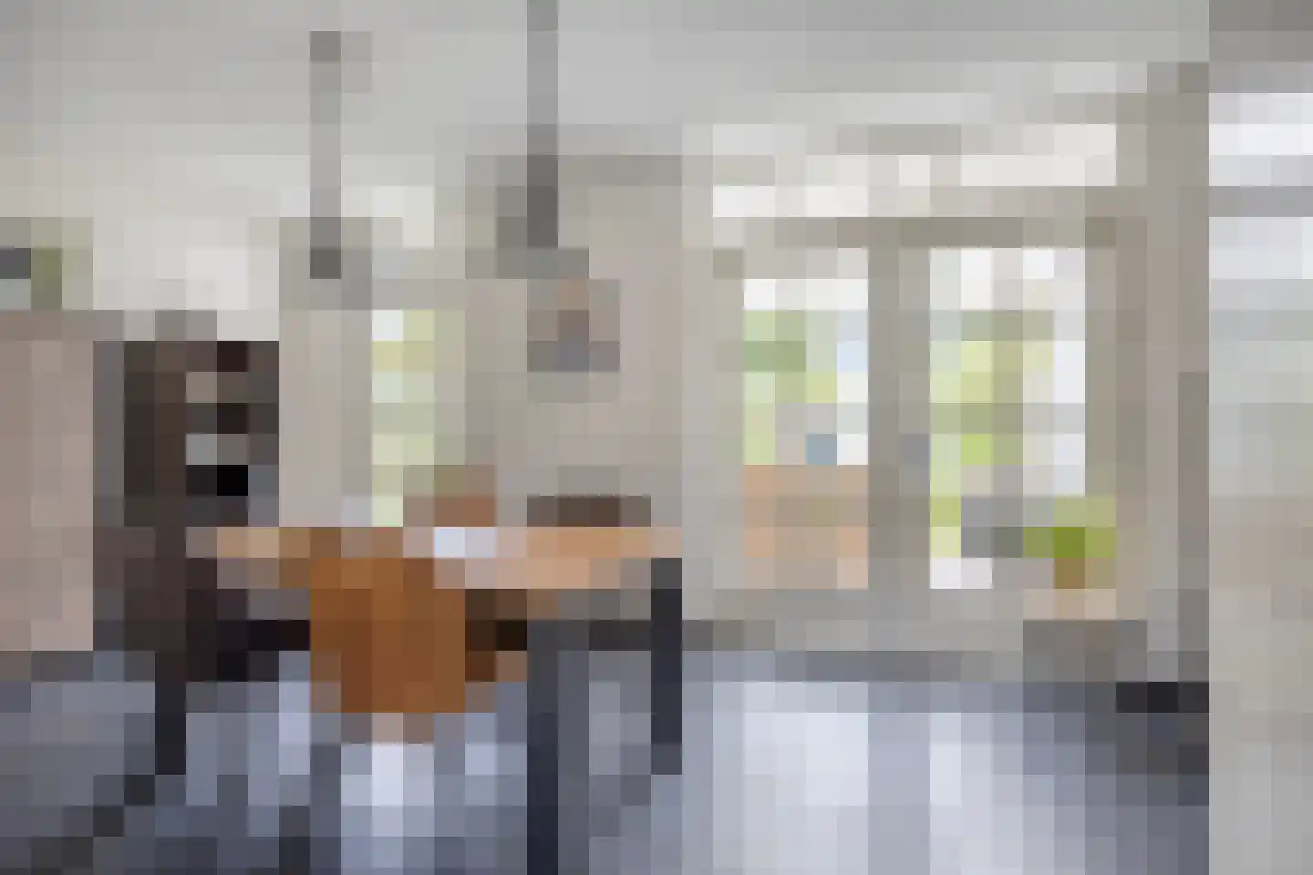 IJsselstraat 28 Veghel thumbnail 16