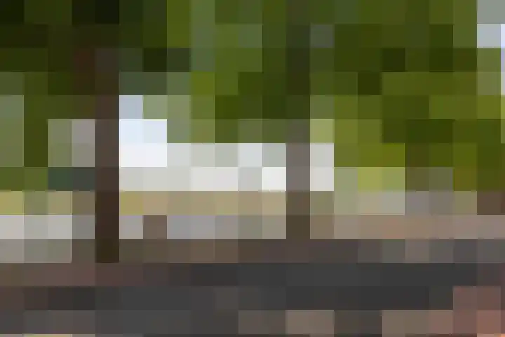 IJsselstraat 3 Deventer foto 2