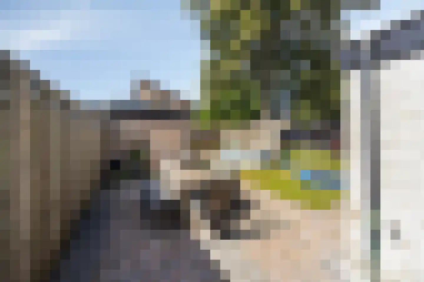 IJsselstraat 30 Veghel thumbnail 26