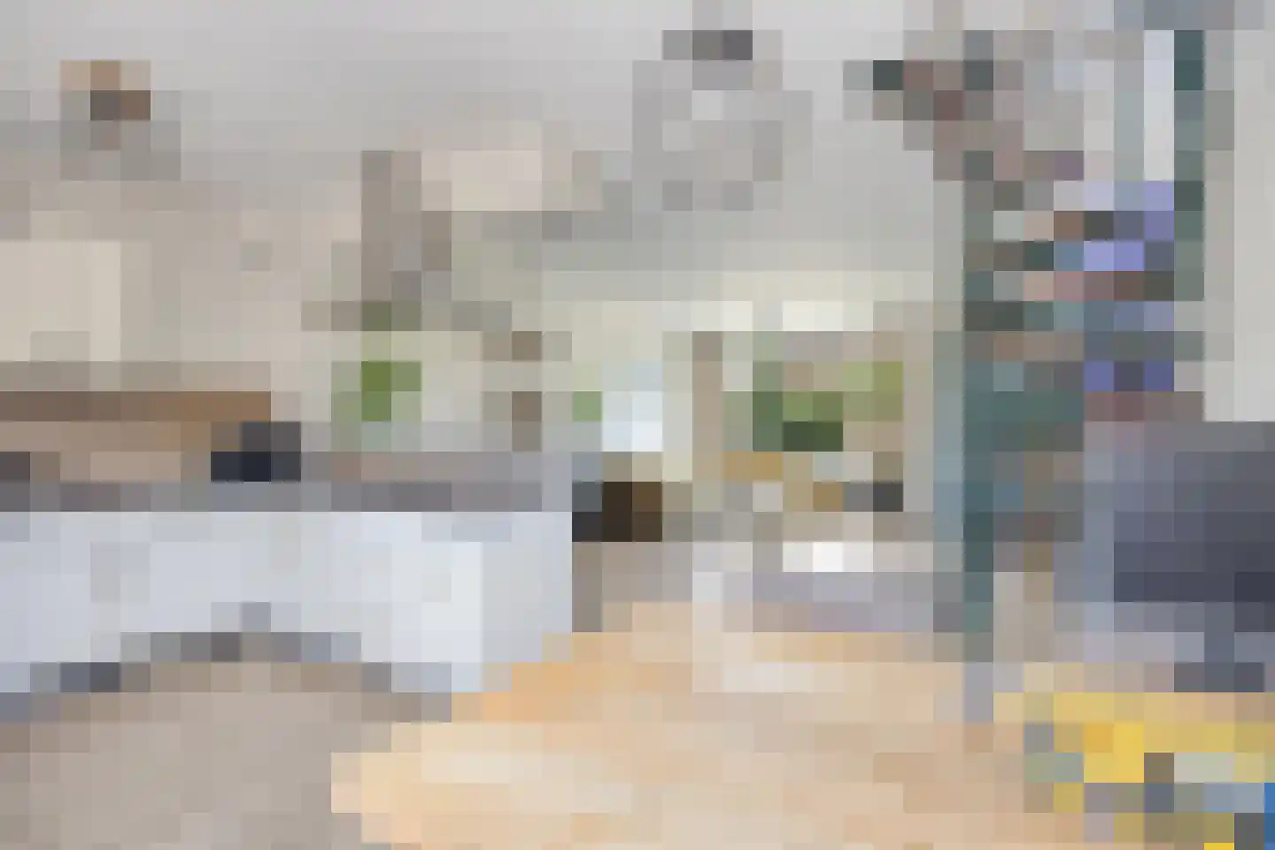 IJsselstraat 30 Veghel thumbnail 4