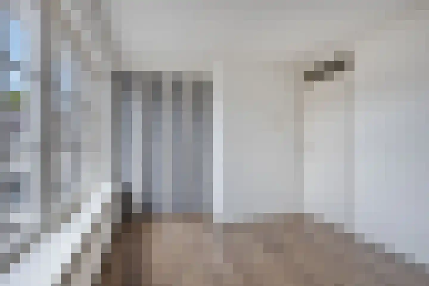 IJsselstraat 34 Emmeloord thumbnail 25