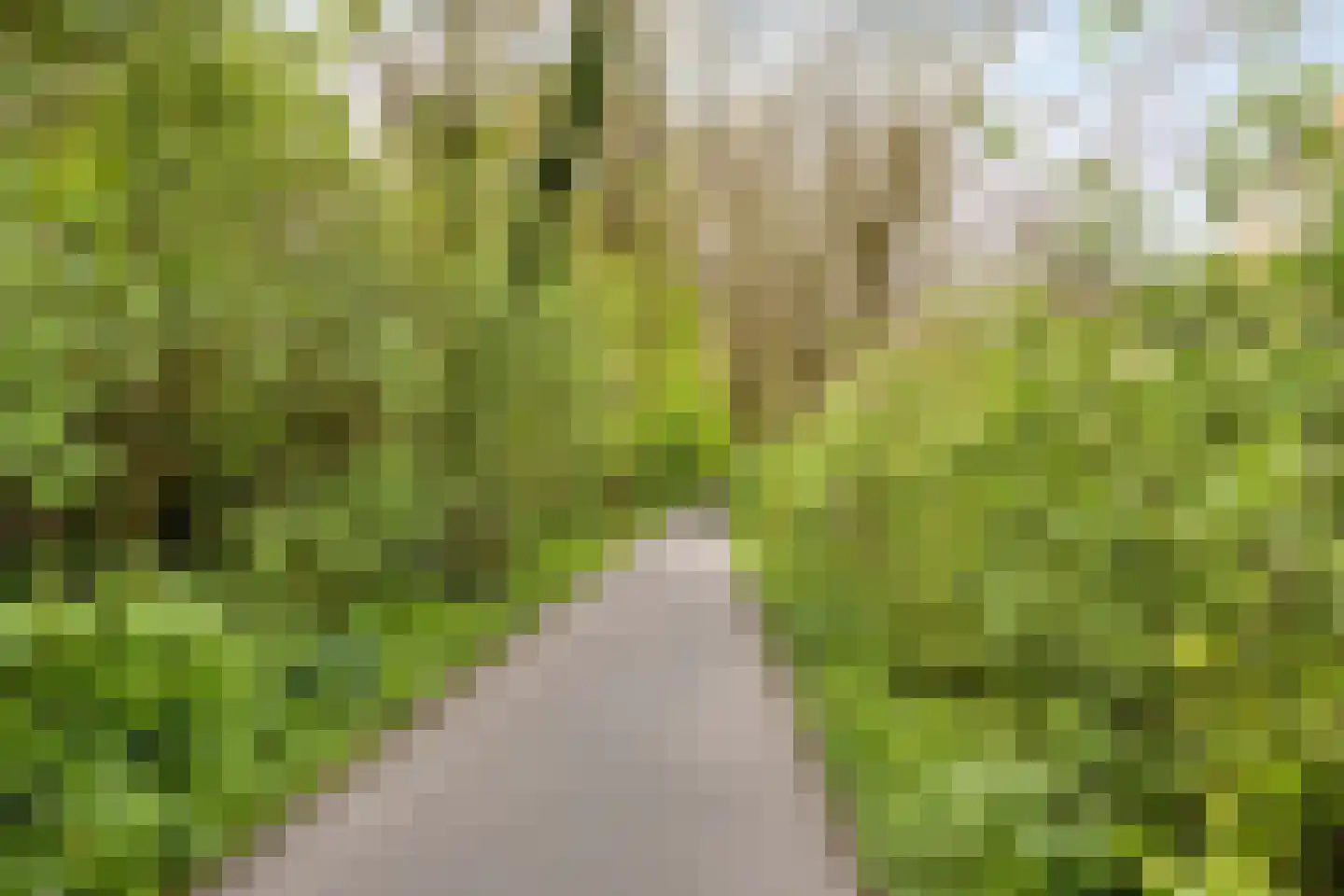 IJsselstraat 34 Emmeloord thumbnail 35