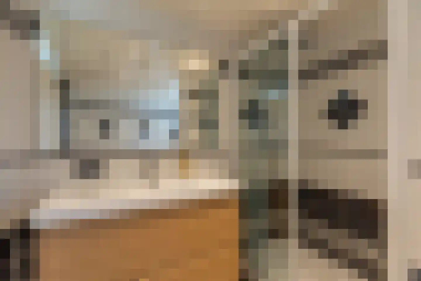 IJsselstraat 38 Alkmaar thumbnail 35