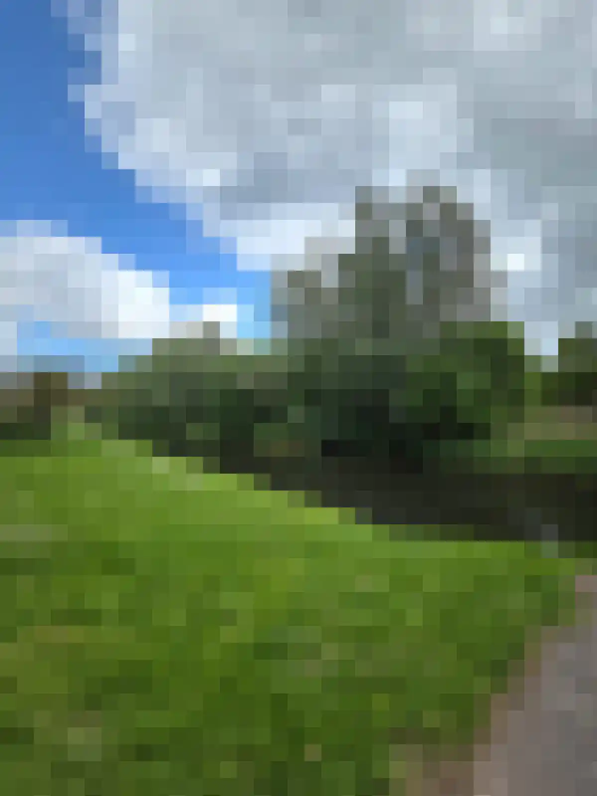 IJsselstraat 38 Ridderkerk thumbnail 37