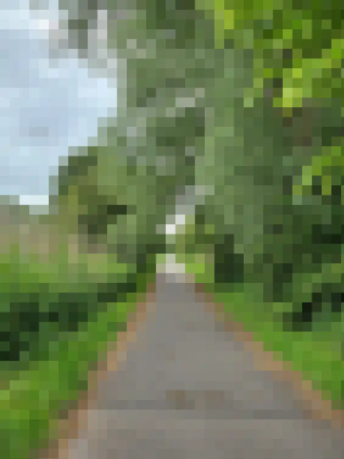IJsselstraat 38 Ridderkerk thumbnail 40