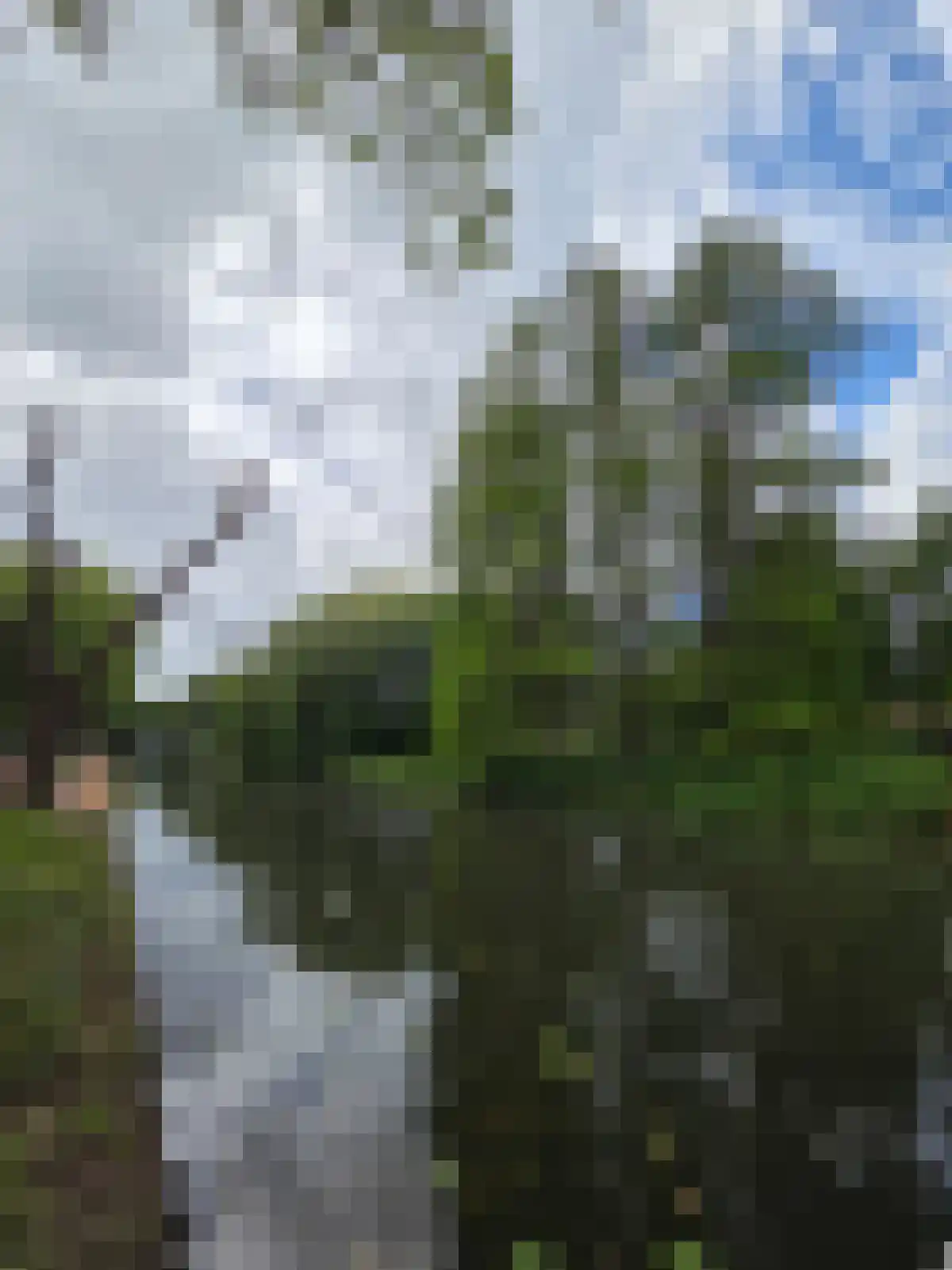 IJsselstraat 38 Ridderkerk thumbnail 43