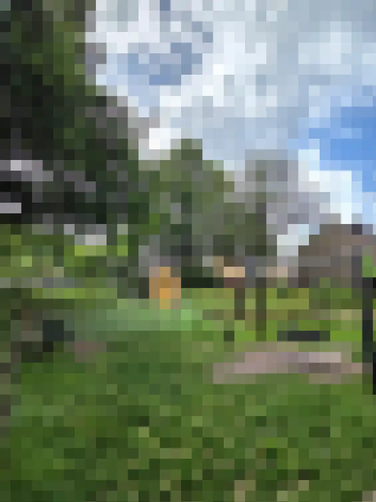IJsselstraat 38 Ridderkerk thumbnail 44