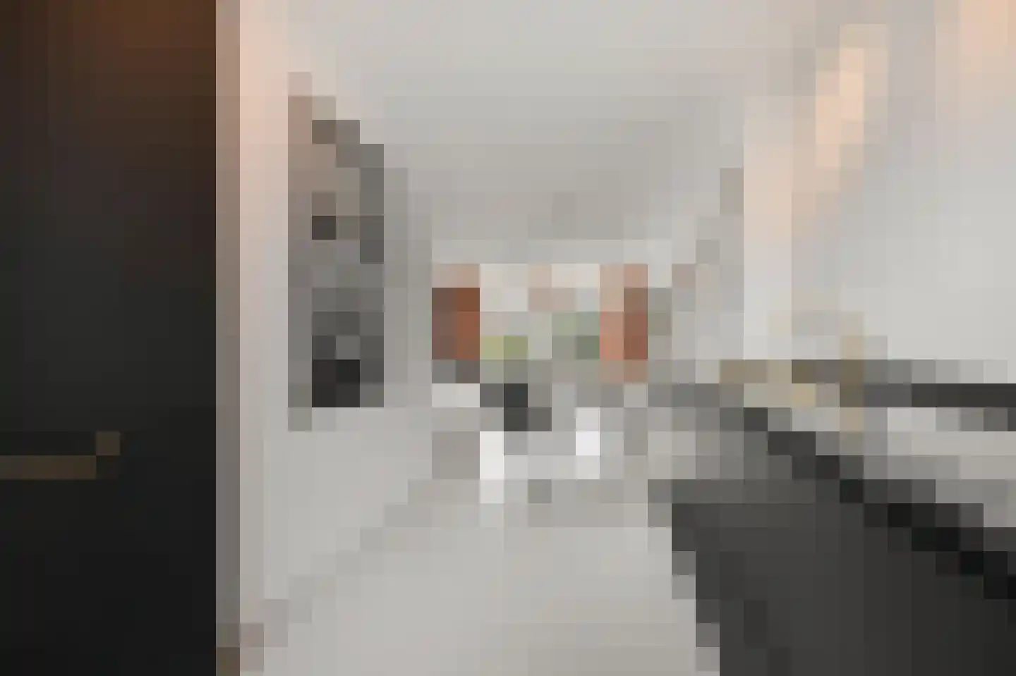 IJsselstraat 4 Velp thumbnail 18