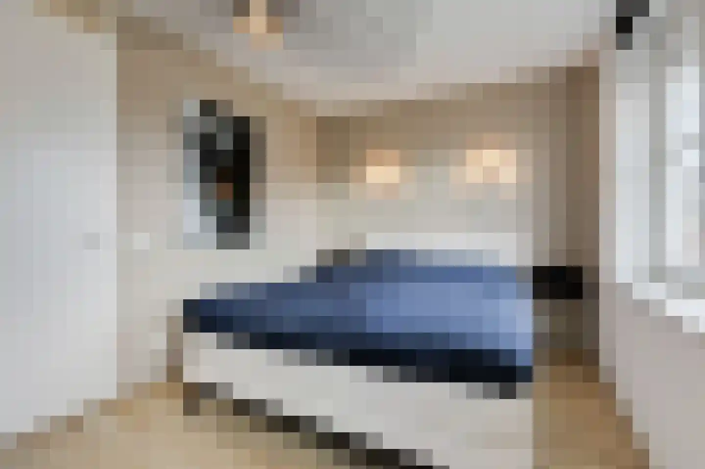 IJsselstraat 4 Velp thumbnail 22