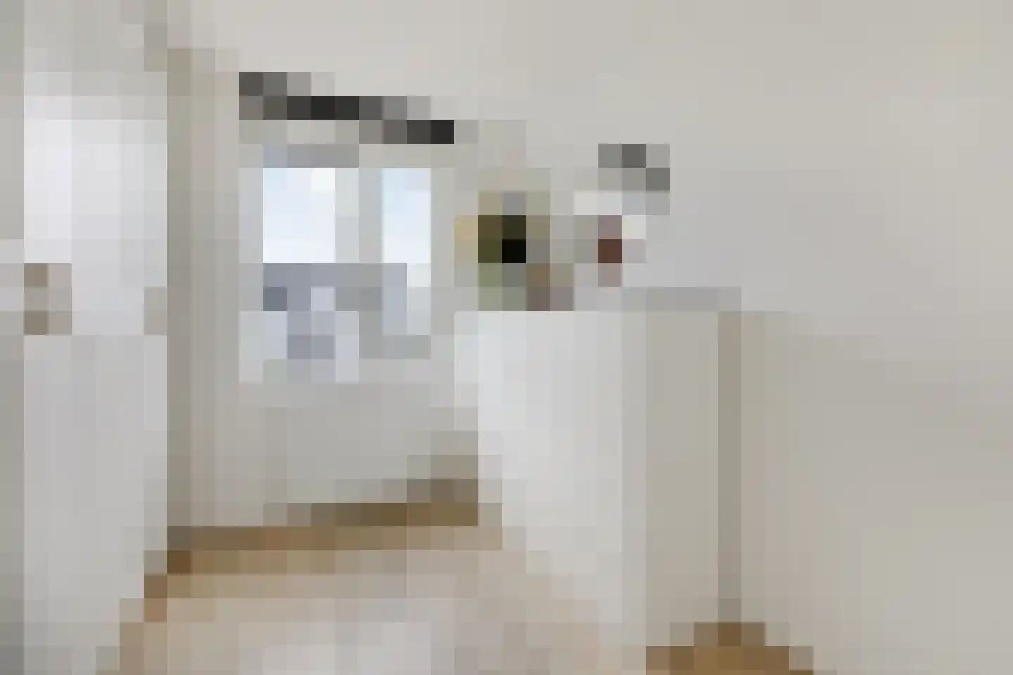 IJsselstraat 4 Velp thumbnail 25