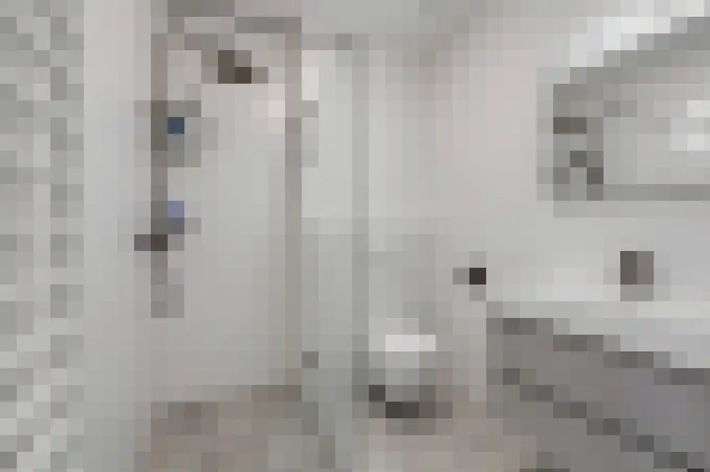 IJsselstraat 4 Velp thumbnail 29