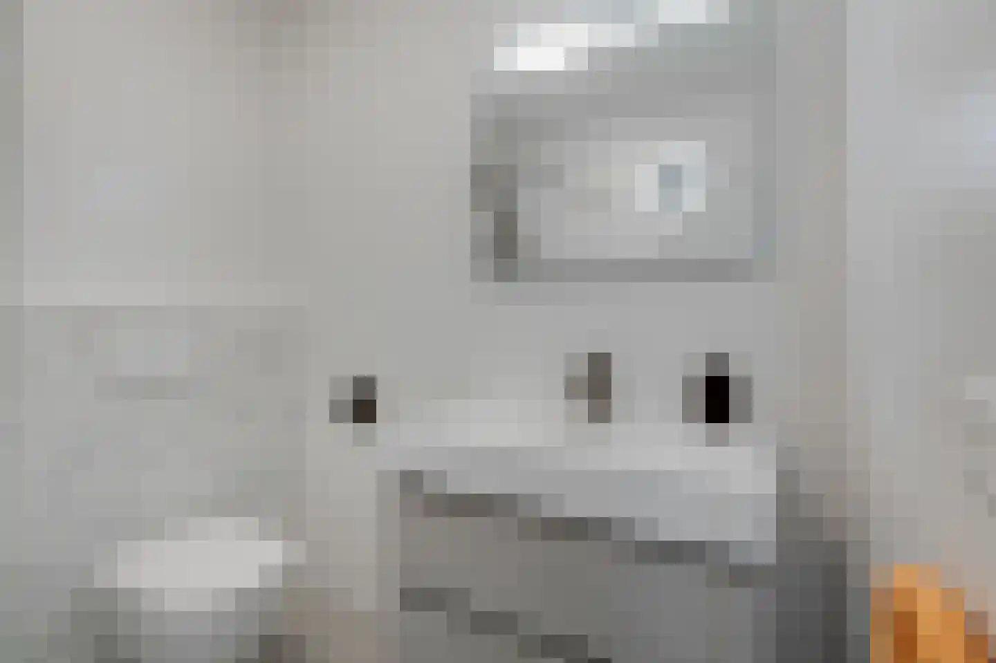 IJsselstraat 4 Velp thumbnail 30