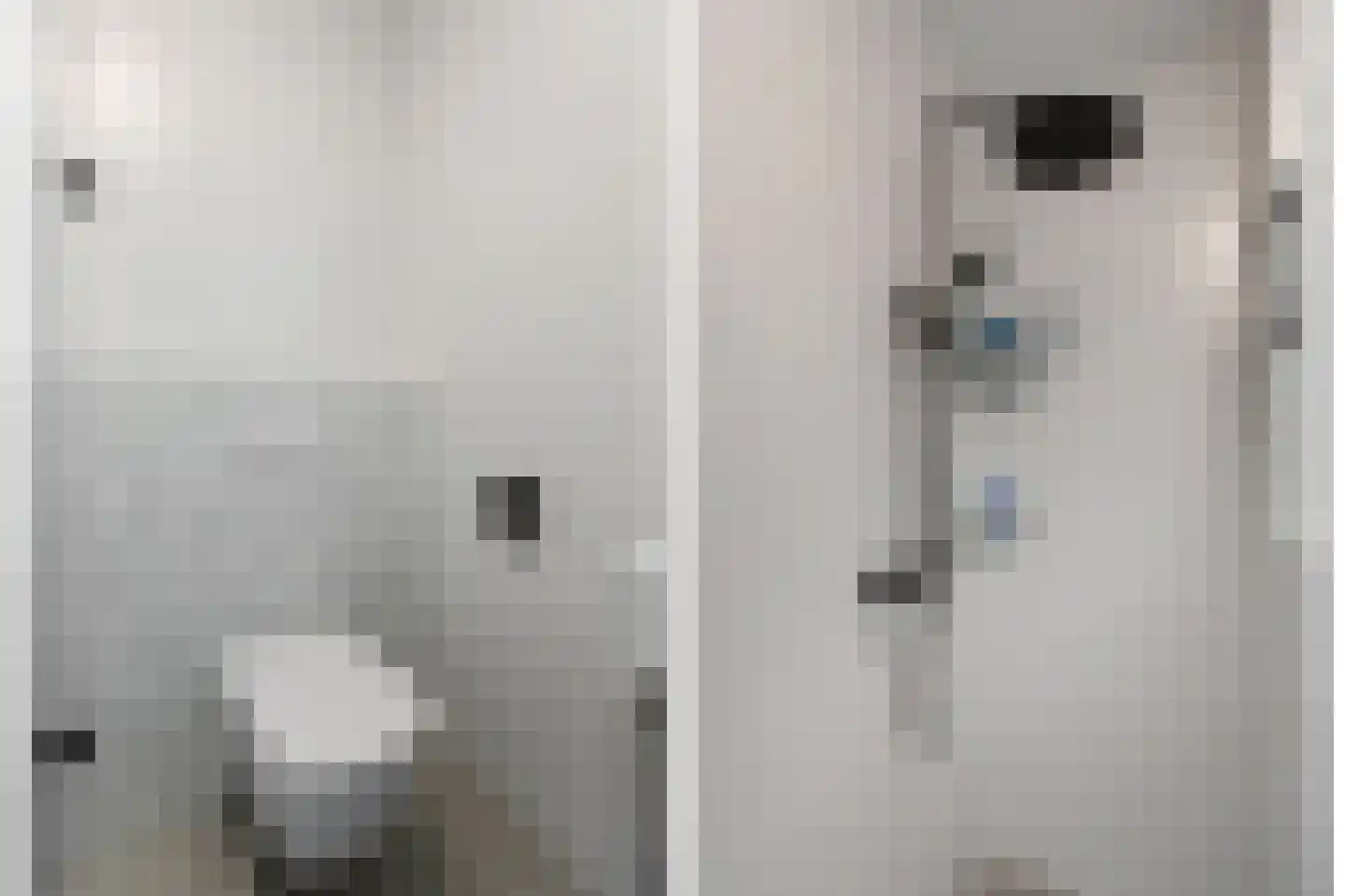 IJsselstraat 4 Velp thumbnail 31