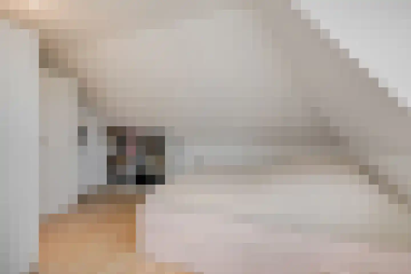 IJsselstraat 4 Velp thumbnail 36