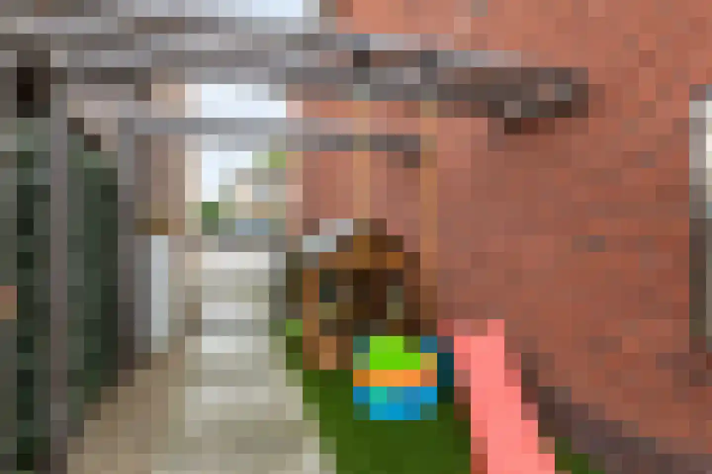 IJsselstraat 4 Velp thumbnail 45