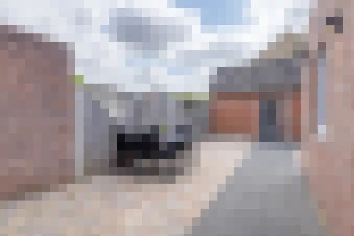 IJsselstraat 44 Terneuzen thumbnail 32
