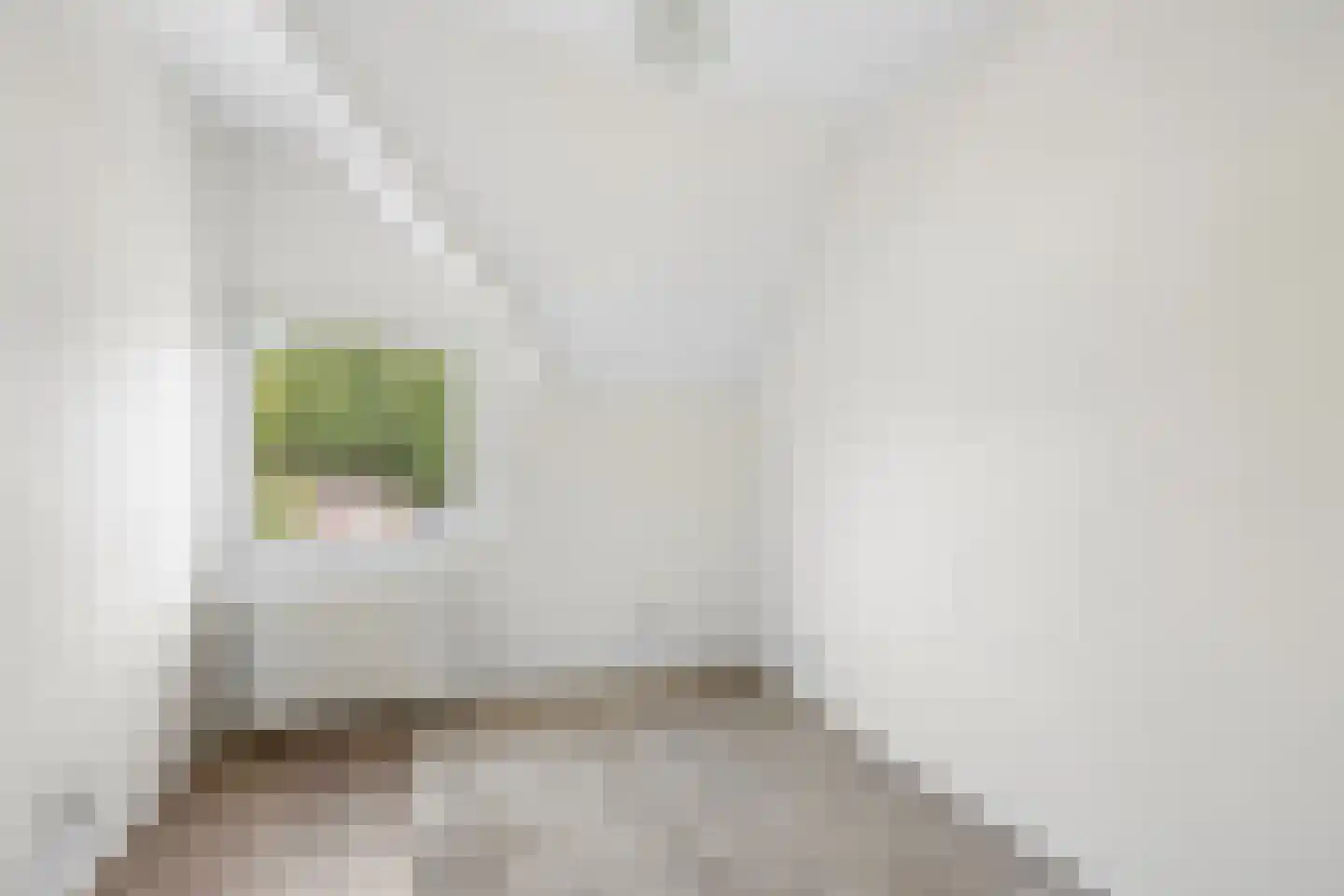 IJsselstraat 47 Velp thumbnail 34
