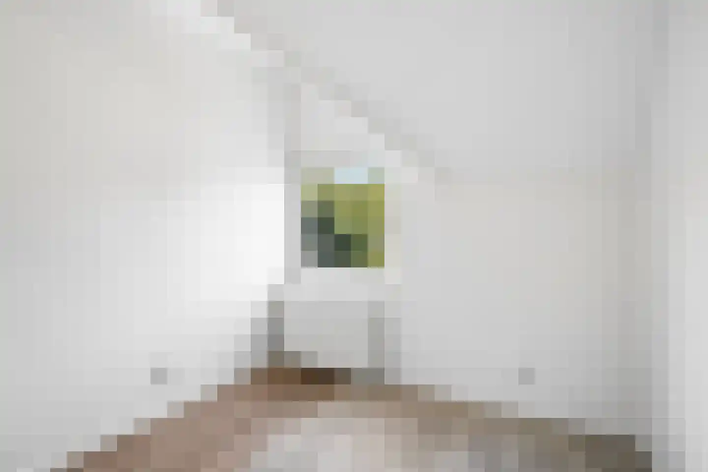 IJsselstraat 47 Velp thumbnail 35