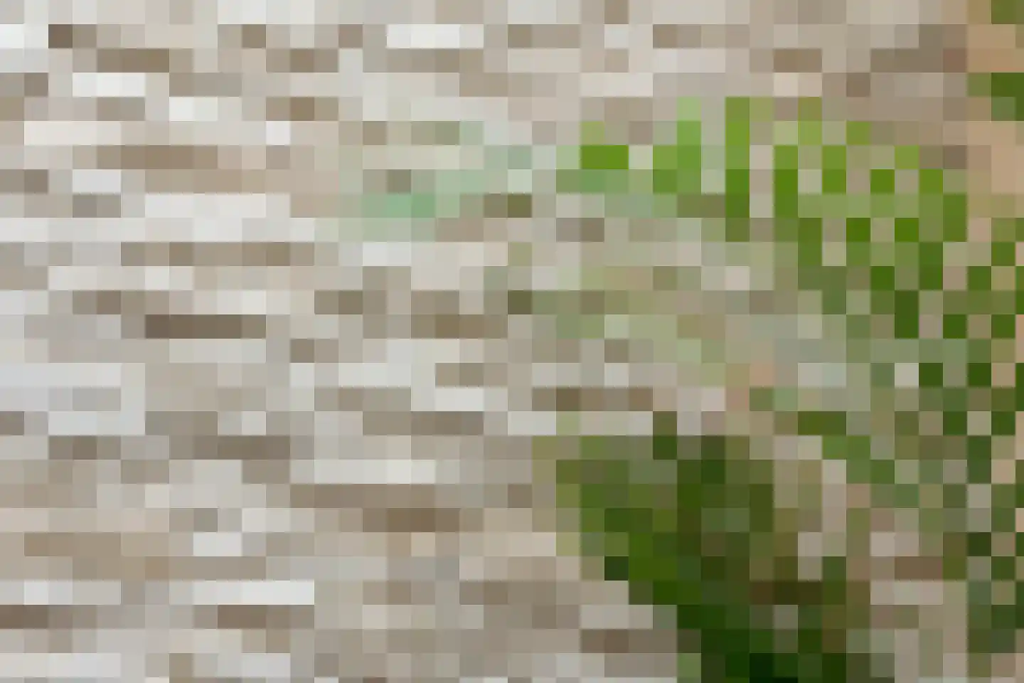 IJsselstraat 47 Velp thumbnail 43