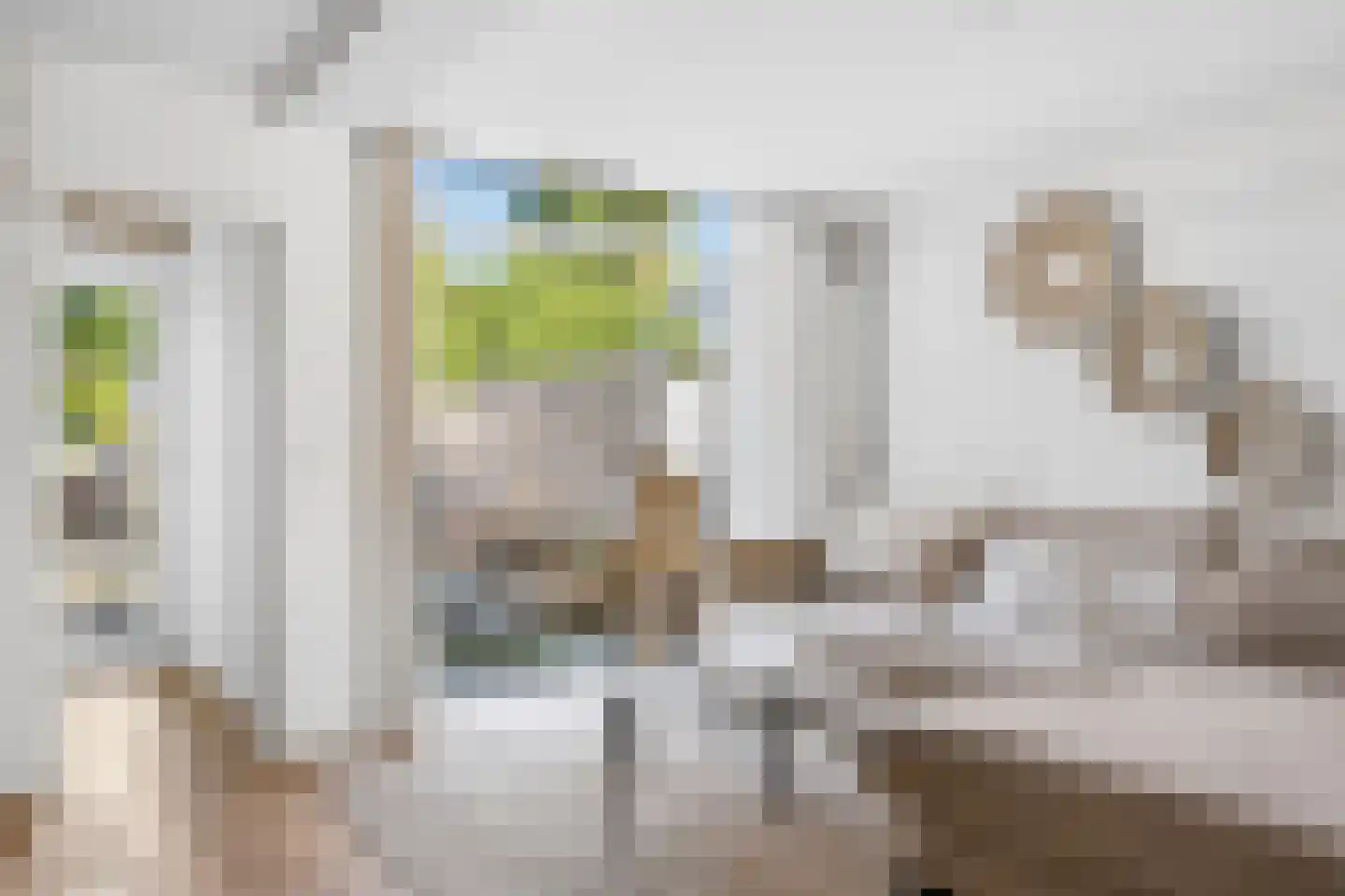 IJsselstraat 47 Velp thumbnail 5
