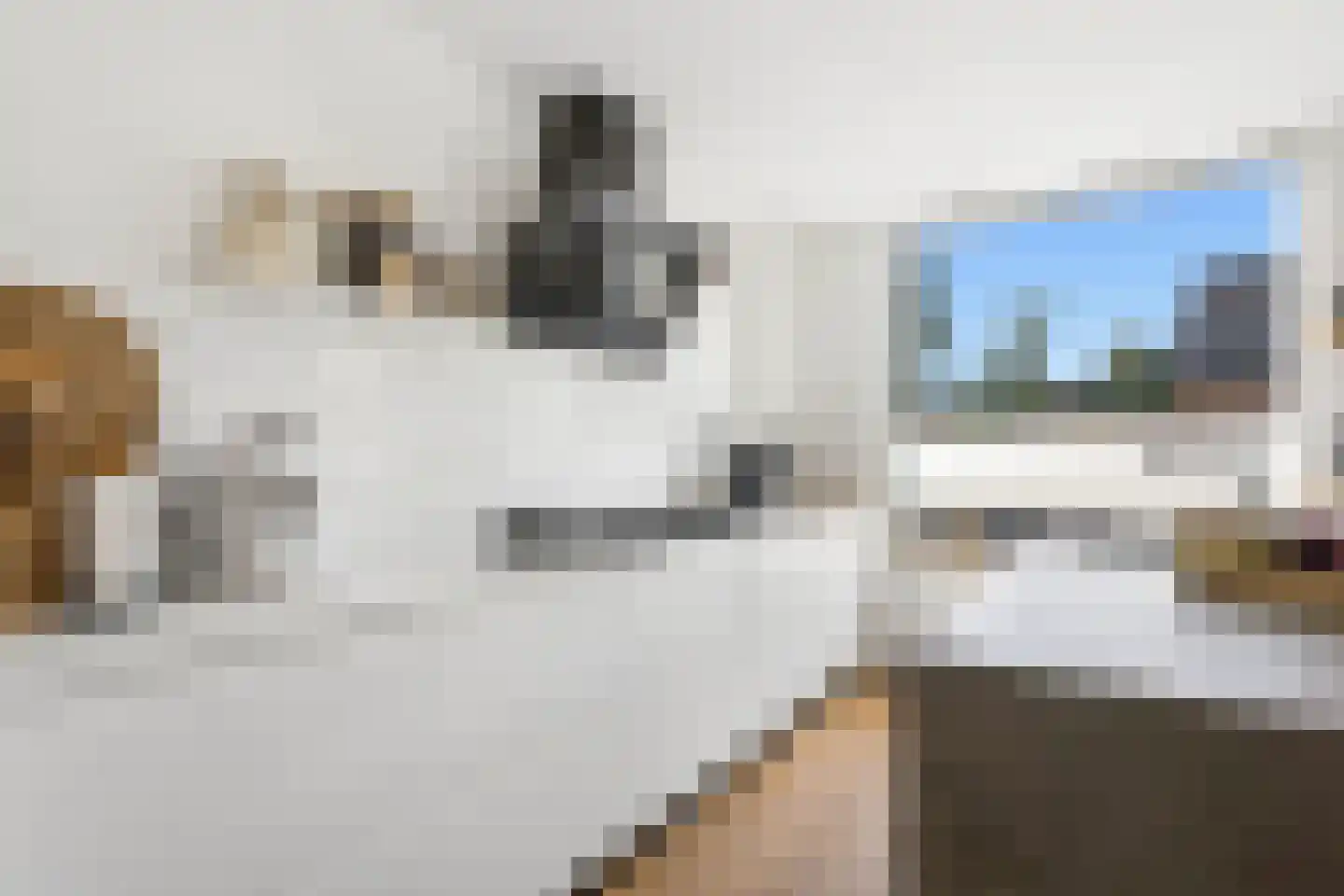 IJsselstraat 47 Velp thumbnail 6