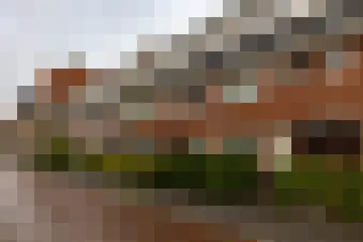 IJsselstraat 49 a Groningen thumbnail 35