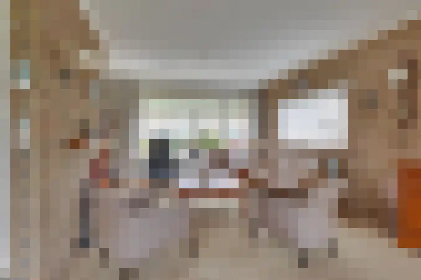 IJsselstraat 5 Emmeloord thumbnail 12