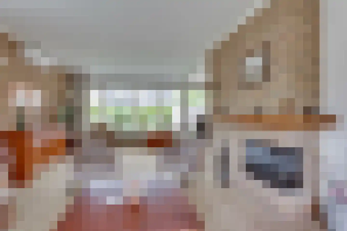 IJsselstraat 5 Emmeloord thumbnail 13