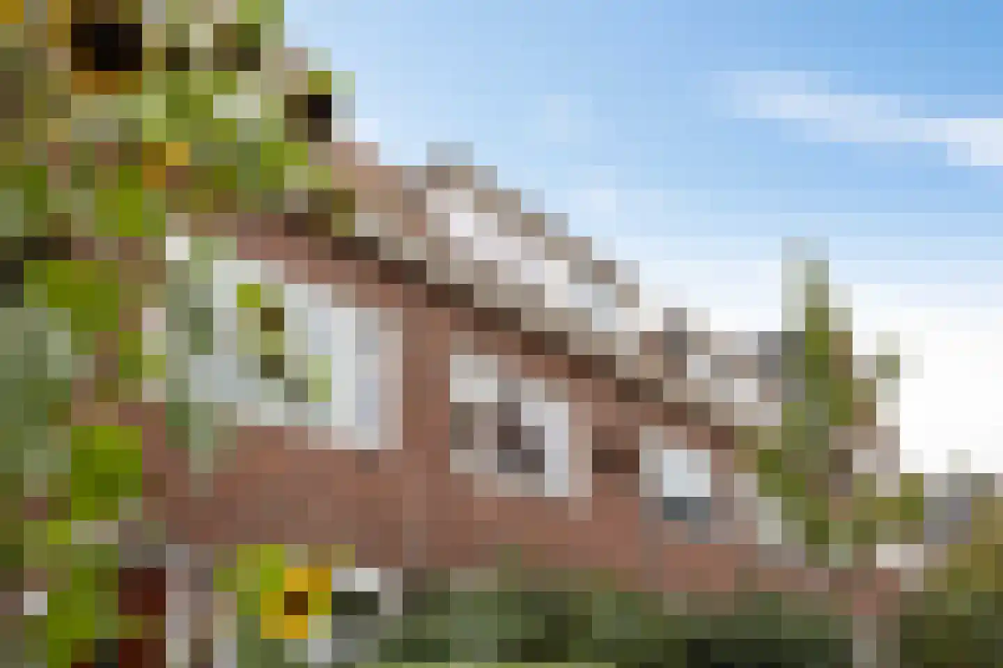 IJsselstraat 50 a Groningen thumbnail 4