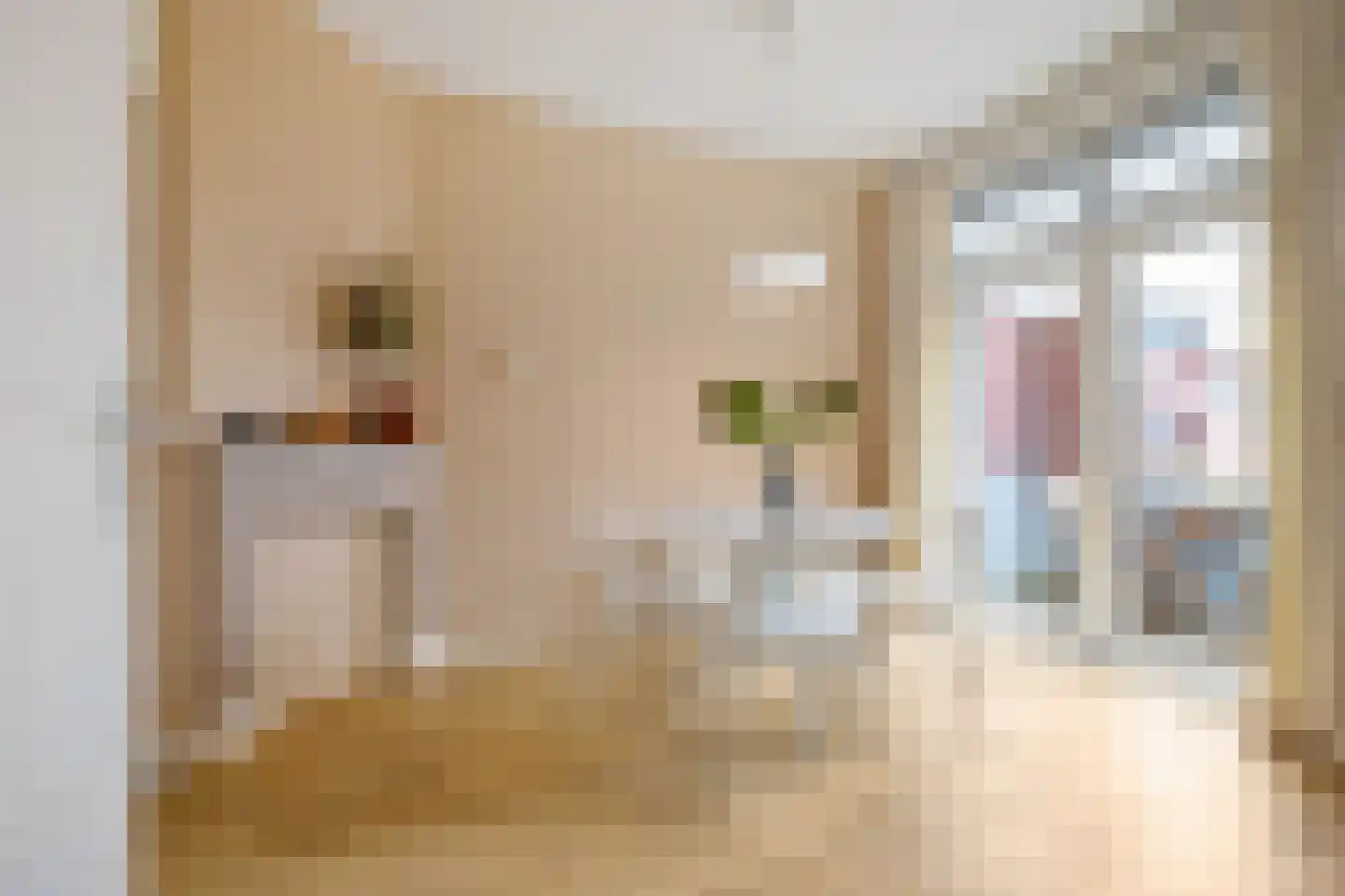 IJsselstraat 50 a Groningen thumbnail 8