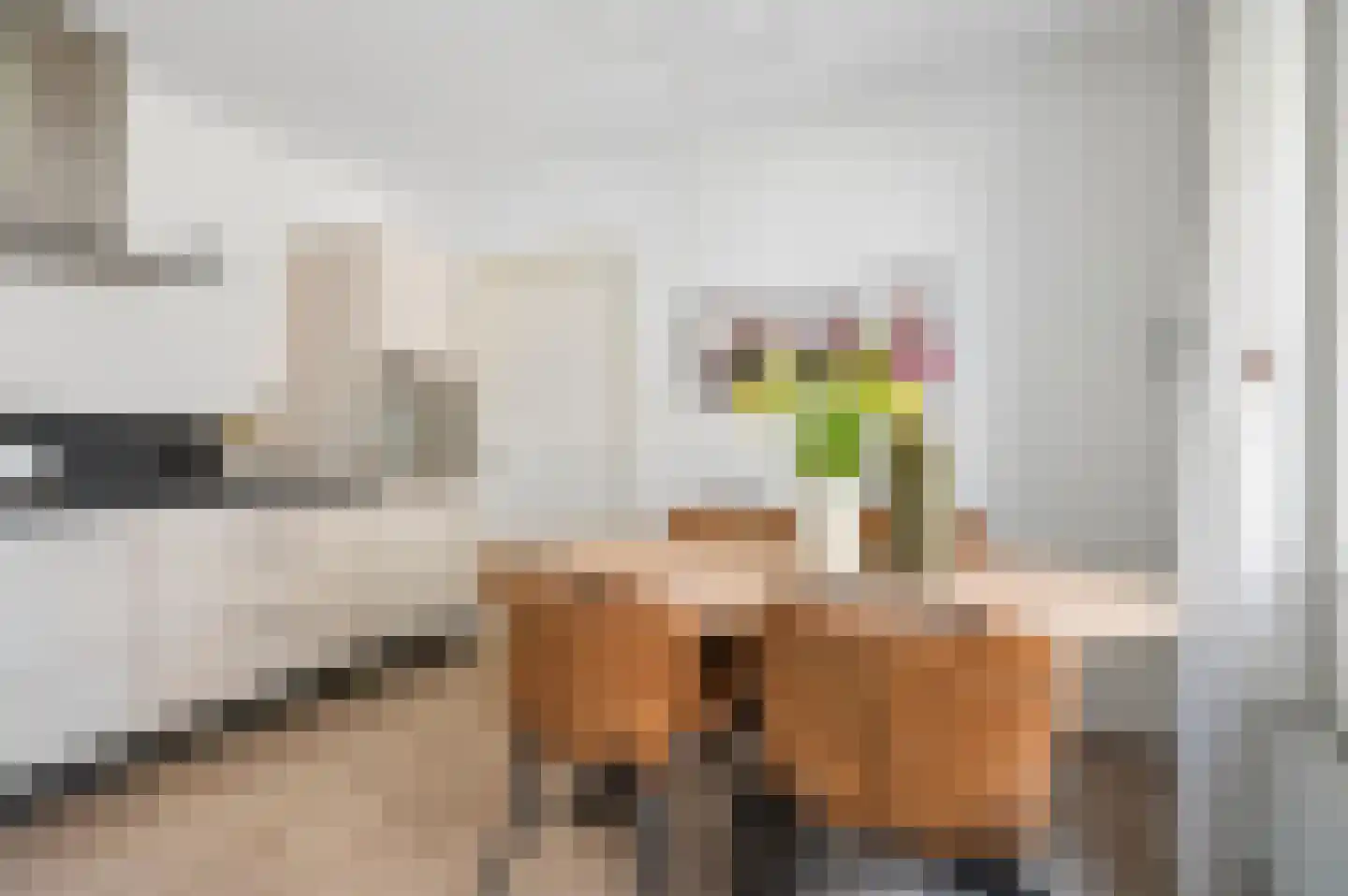 IJsselstraat 52 Velp thumbnail 15