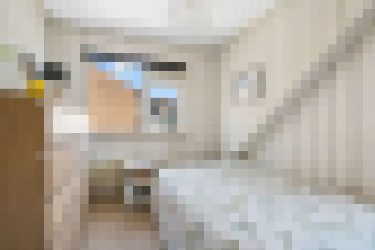 IJsselstraat 52 Velp thumbnail 30