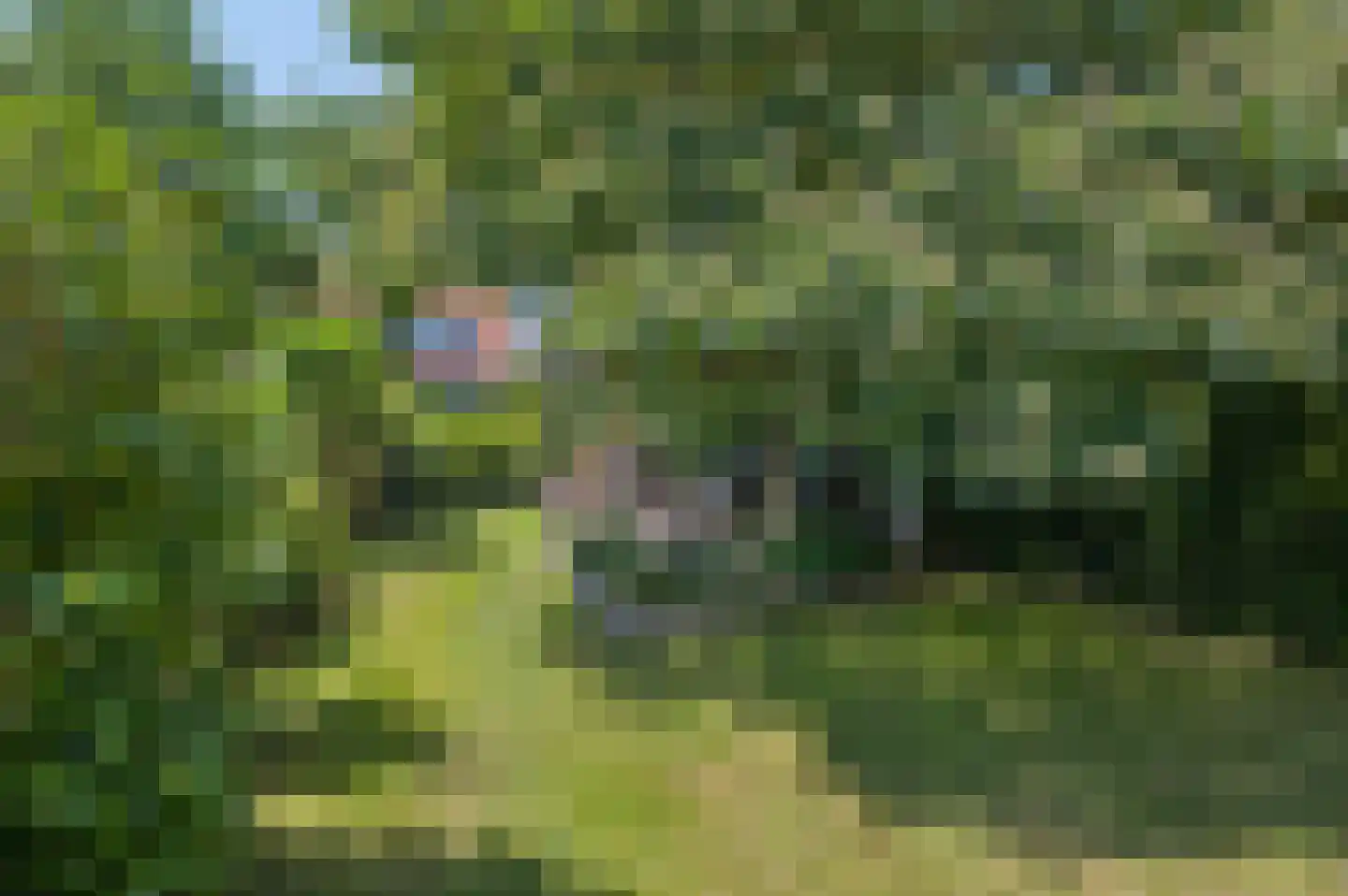 IJsselstraat 52 Velp thumbnail 32