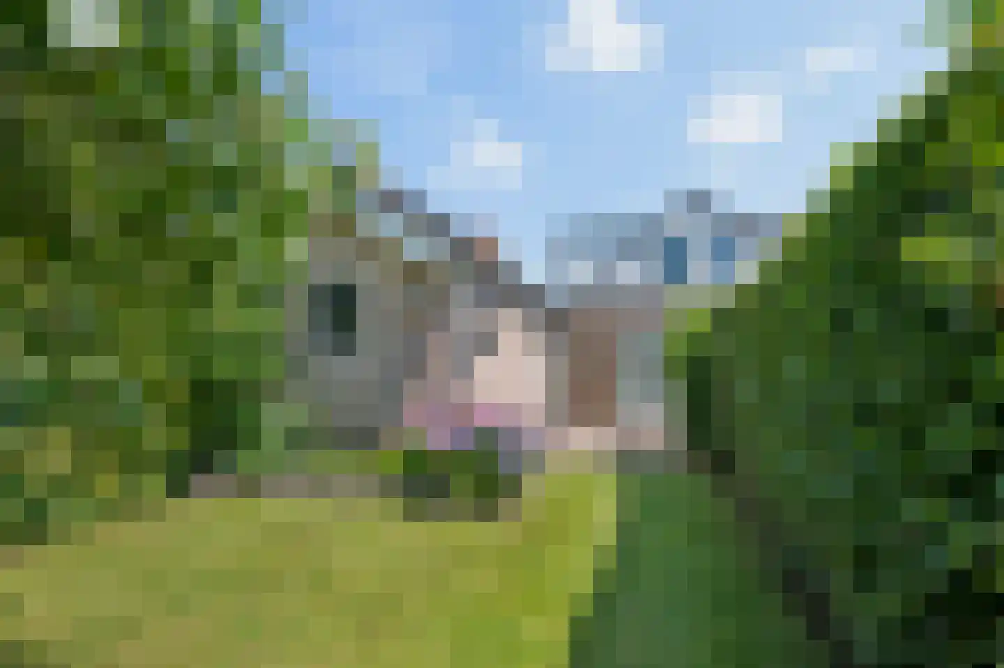 IJsselstraat 52 Velp thumbnail 33