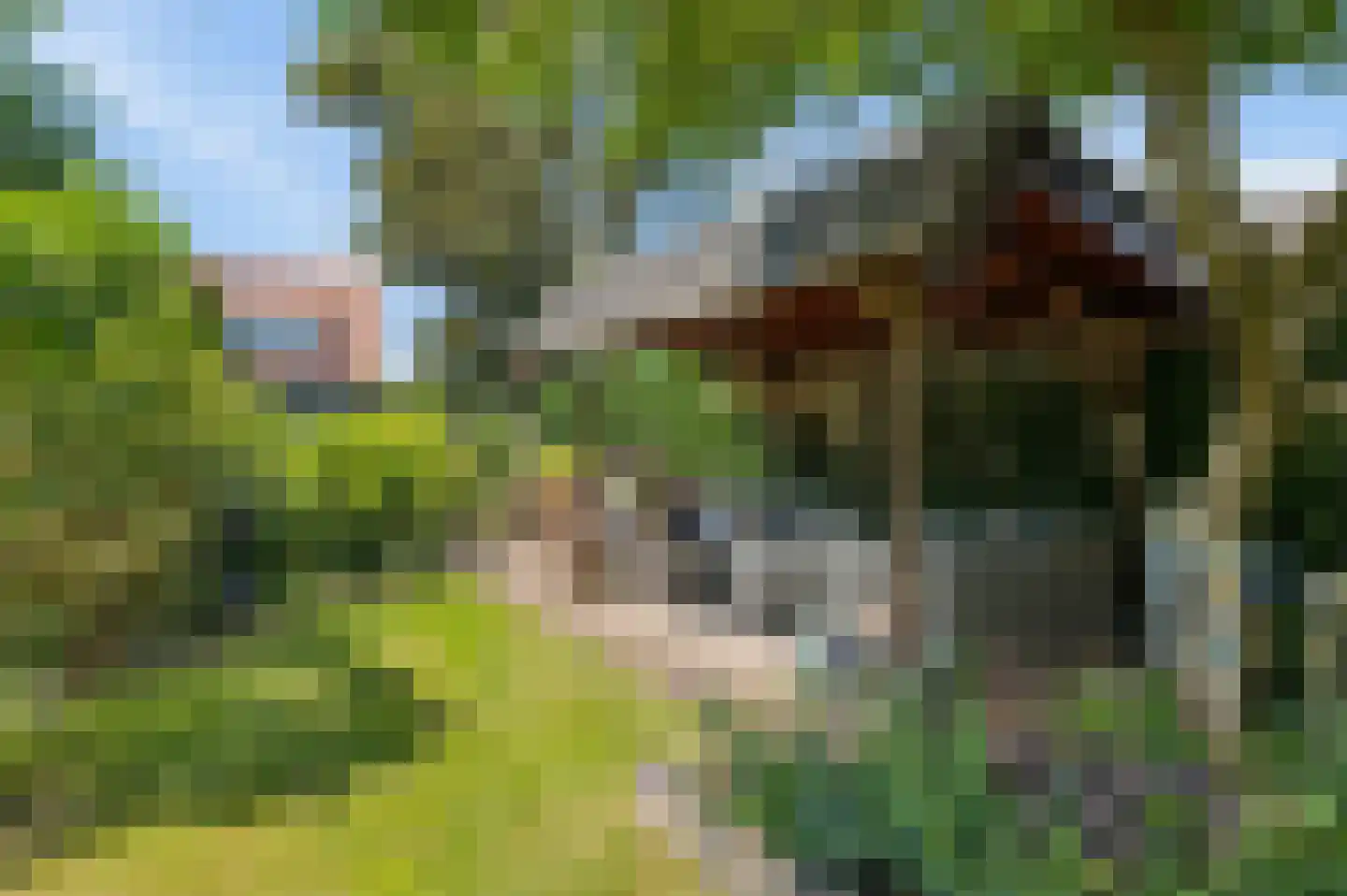 IJsselstraat 52 Velp thumbnail 34