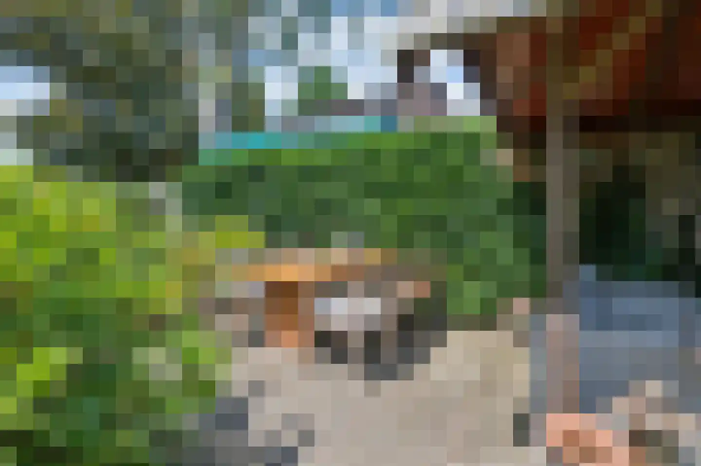 IJsselstraat 52 Velp thumbnail 35