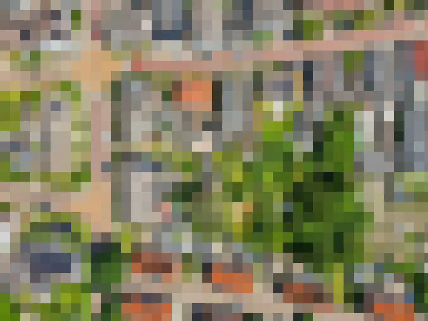 IJsselstraat 52 Velp thumbnail 37